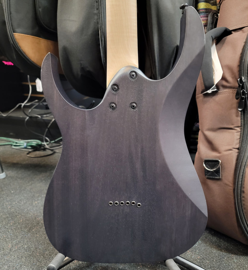 Ibanez RGR431PB electric guitar - jatoba fingerboard and frets