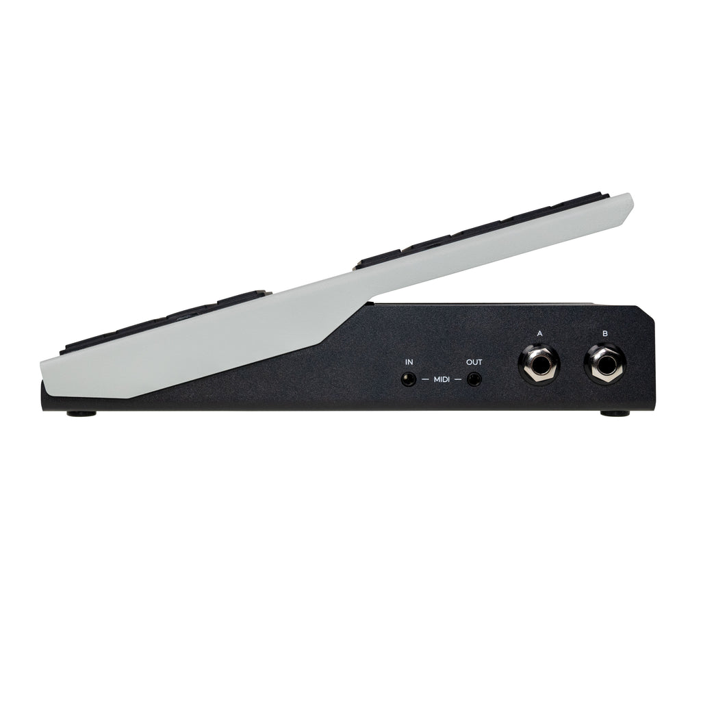 Walrus Audio Canvas Expression dual-output expression, switch and CV pedal — view 5