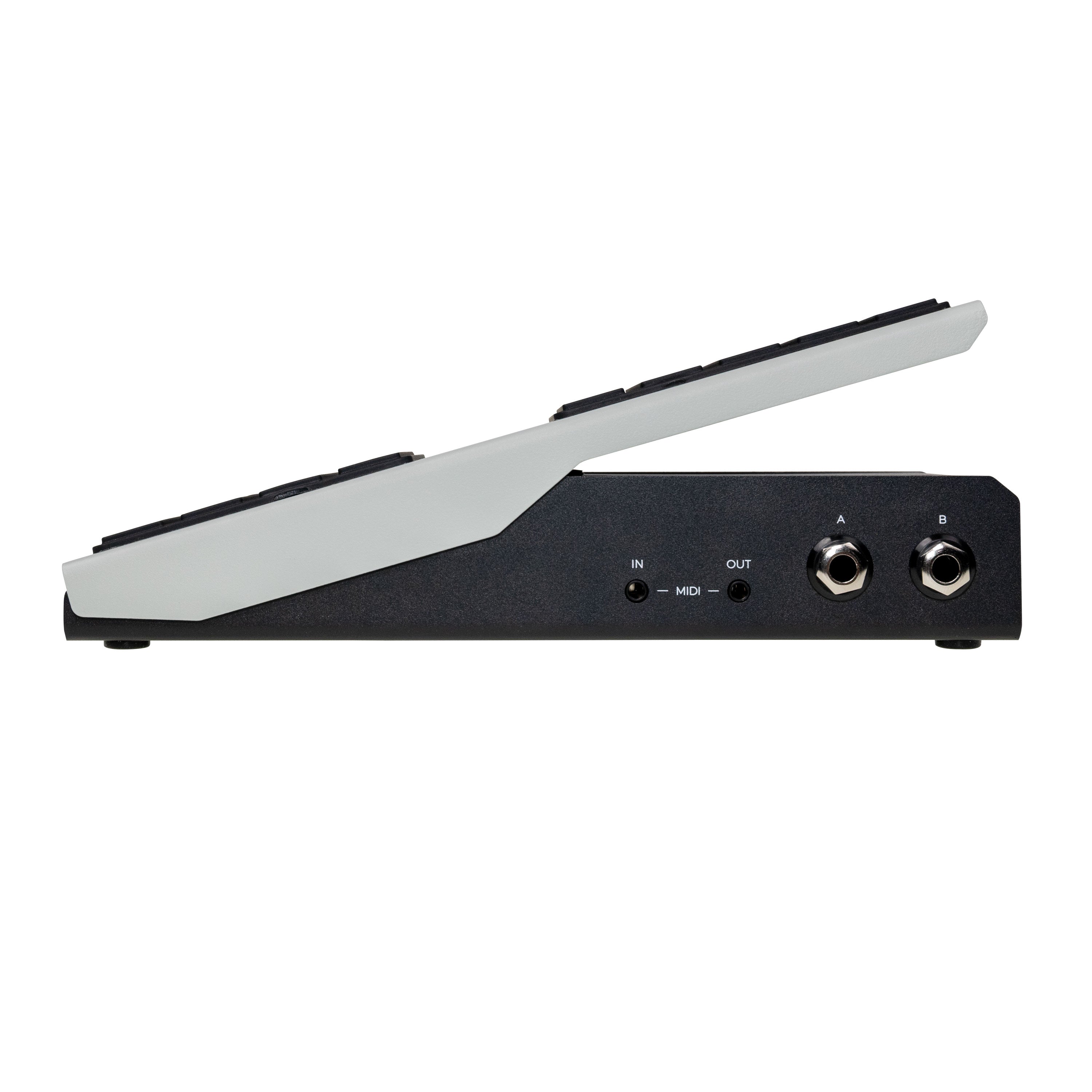 Walrus Audio Canvas Expression dual-output expression, switch and CV pedal — view 5