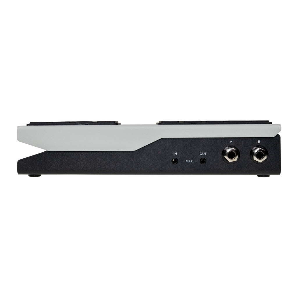 Walrus Audio Canvas Expression dual-output expression, switch and CV pedal — view 4