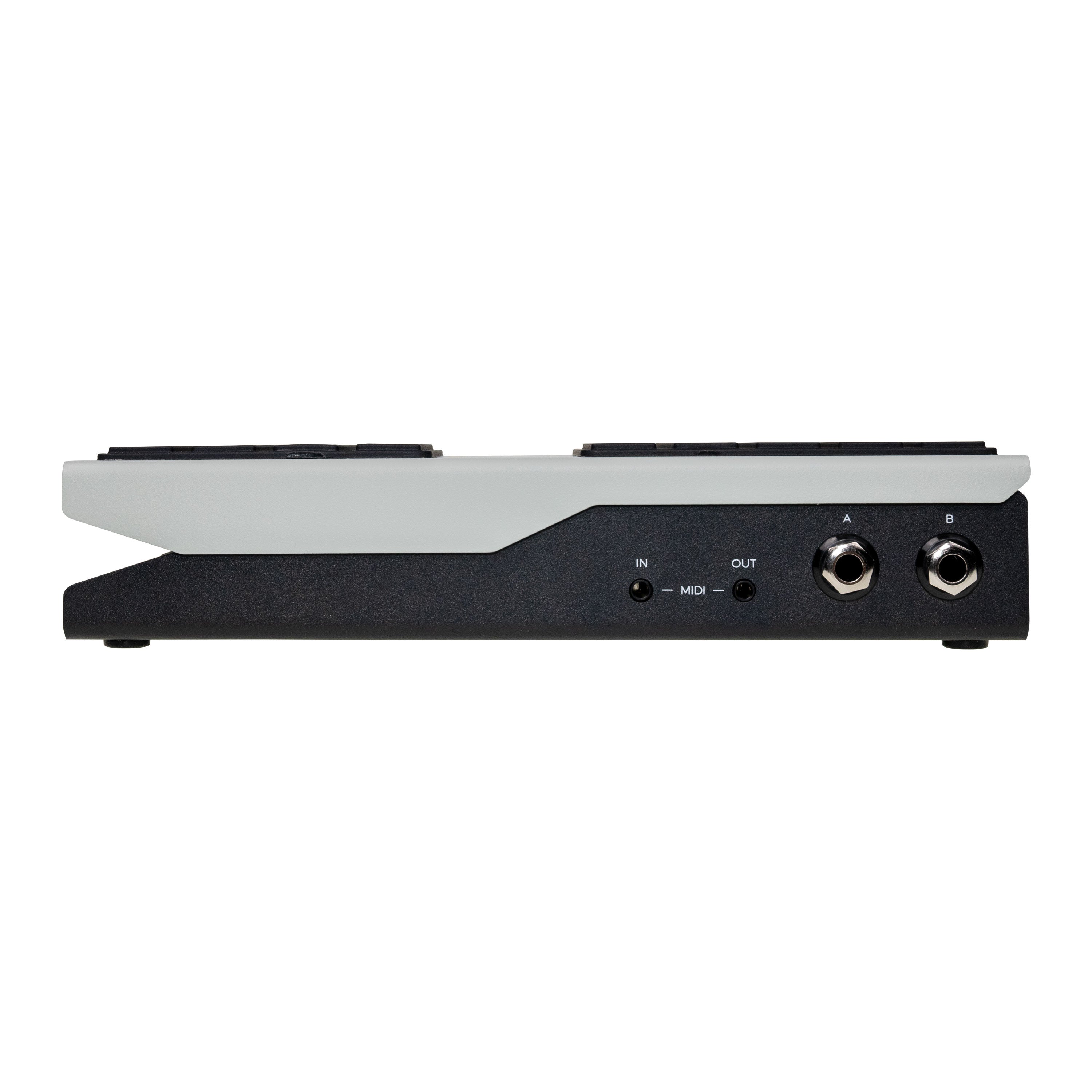 Walrus Audio Canvas Expression dual-output expression, switch and CV pedal — view 4