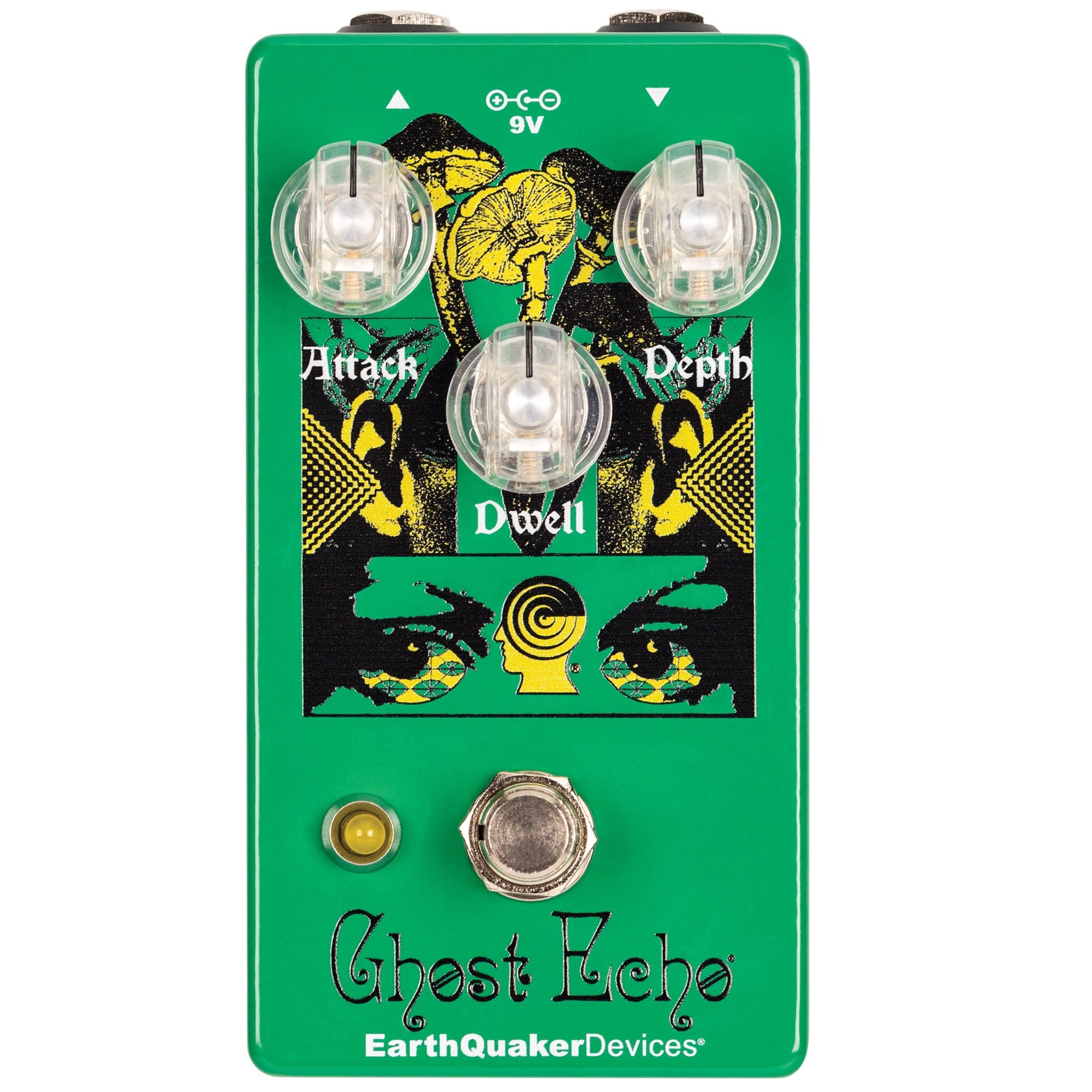 EarthQuaker Devices Ghost Echo V3 Brain Dead reverb pedal — angled view