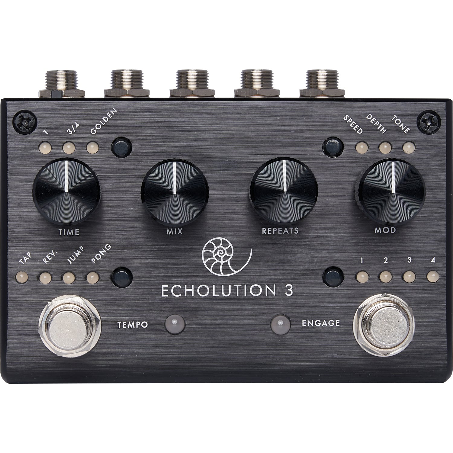 Pigtronix Echolution 3 delay pedal — angled view of controls