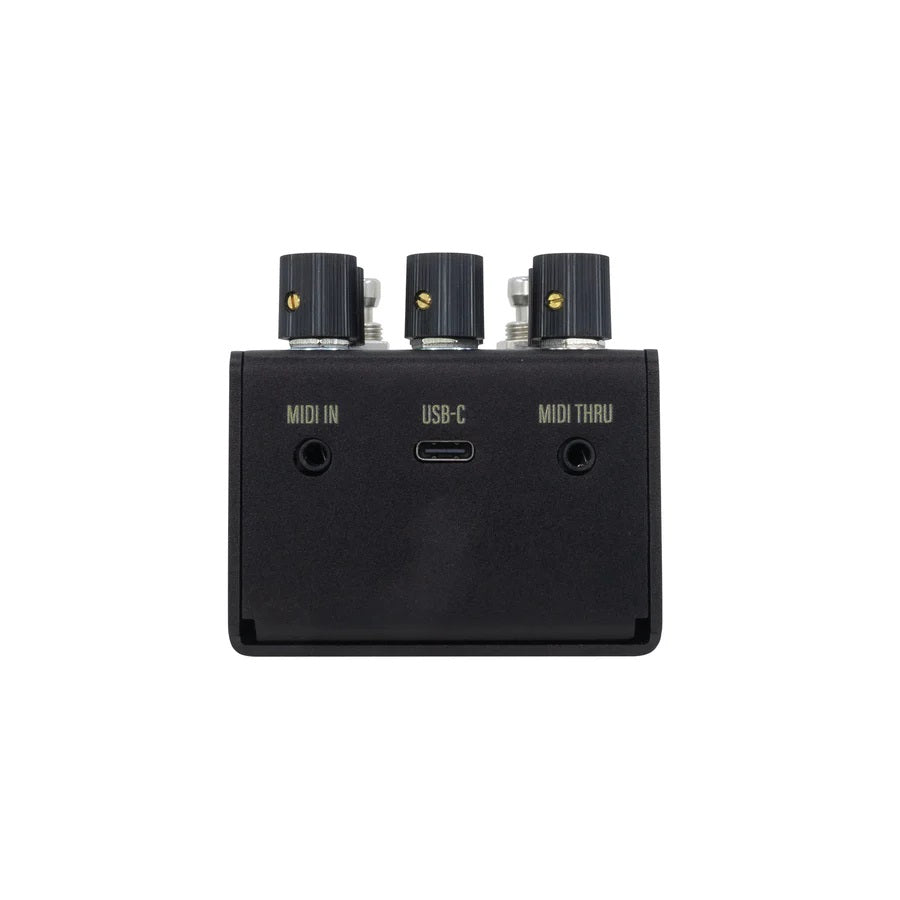 Walrus Audio MAKO MKII R1 reverb pedal — rear input output jacks