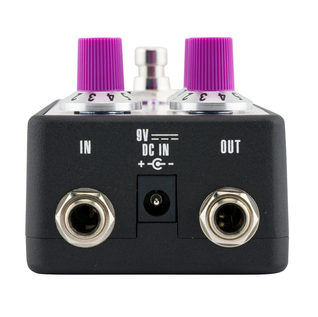 Fender Bassman Fuzz pedal — control knobs and Voice/Focus switches detail