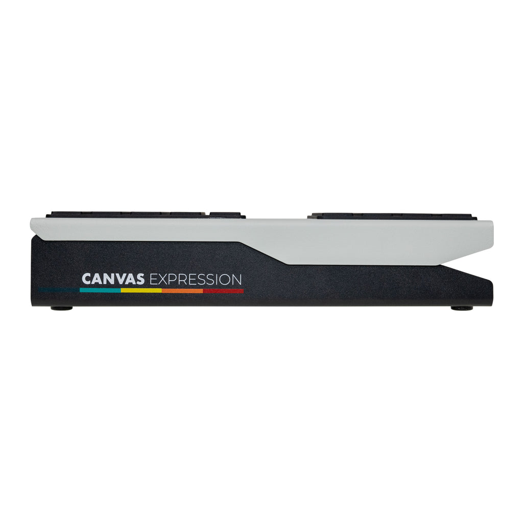 Walrus Audio Canvas Expression dual-output expression, switch and CV pedal — view 9