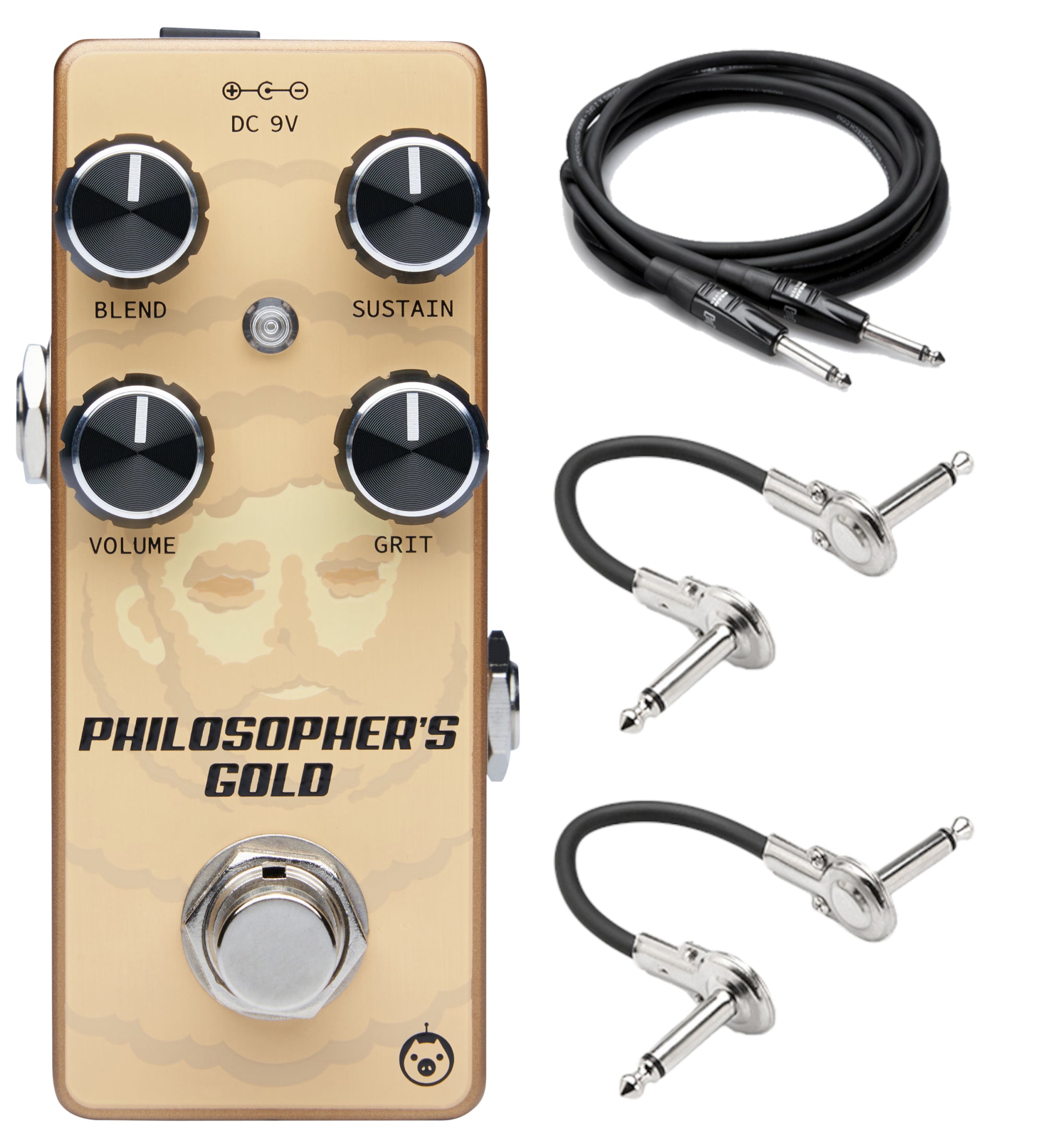 Pigtronix Philosopher's Gold — gold chassis top view