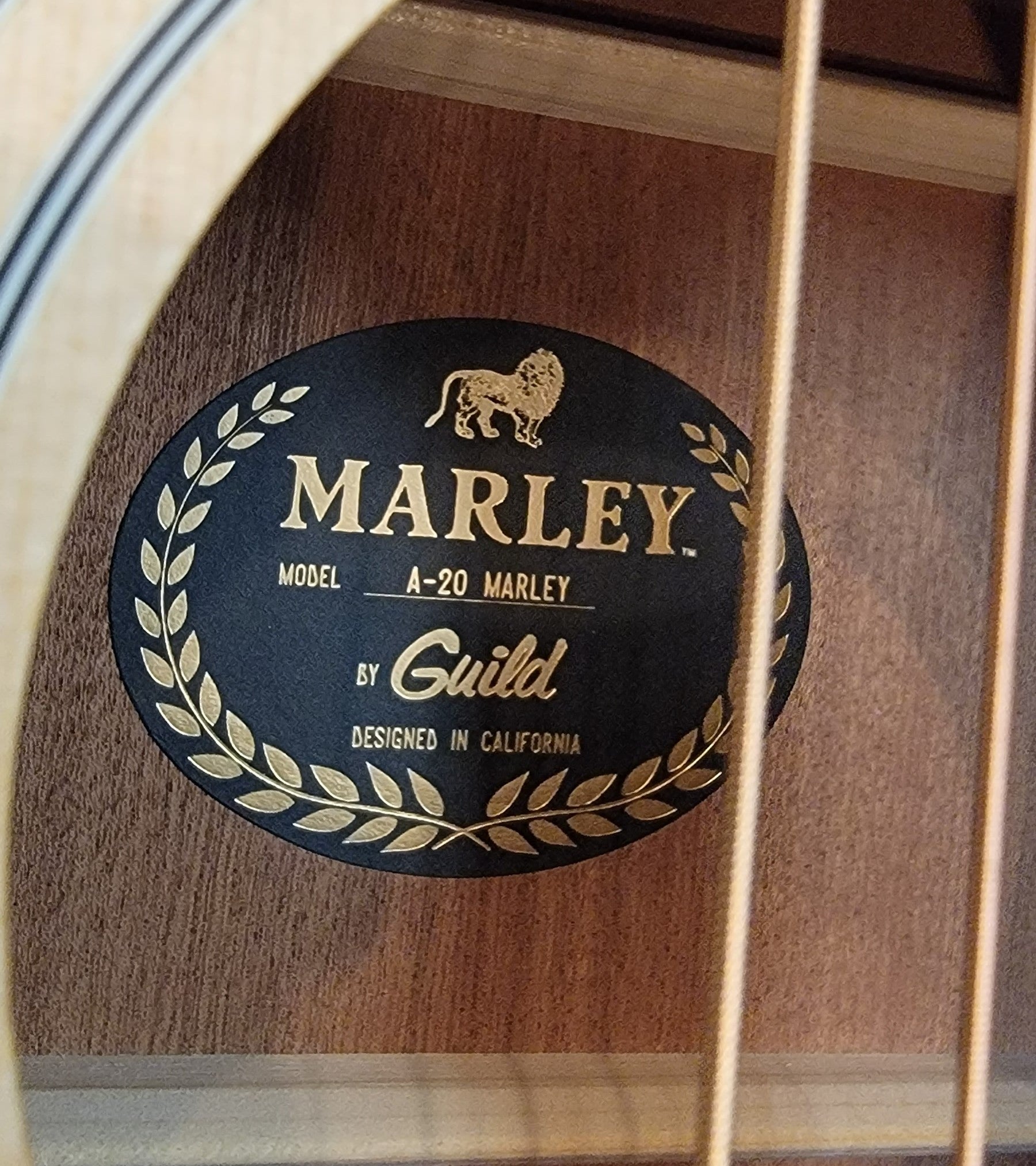 Guild A-20 Bob Marley Acoustic Guitar — Bob Marley signature pickguard close-up