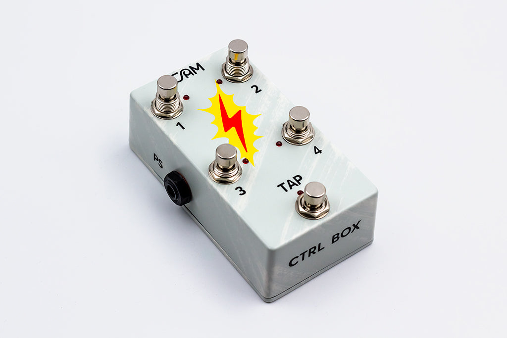 JAM Pedals Delay Llama Xtreme delay pedal - CTRL box detail