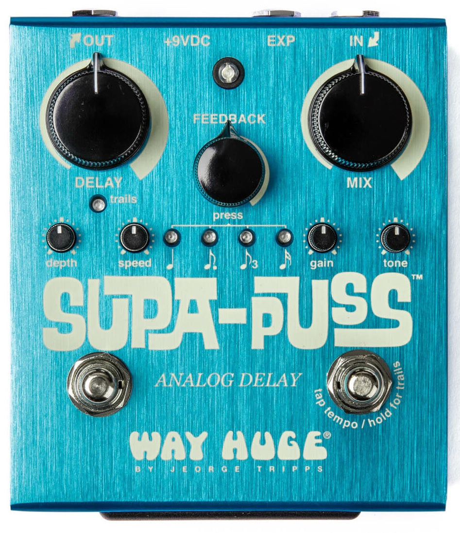 Way Huge WHE707 Supa-Puss analog delay pedal — controls and footswitches detail