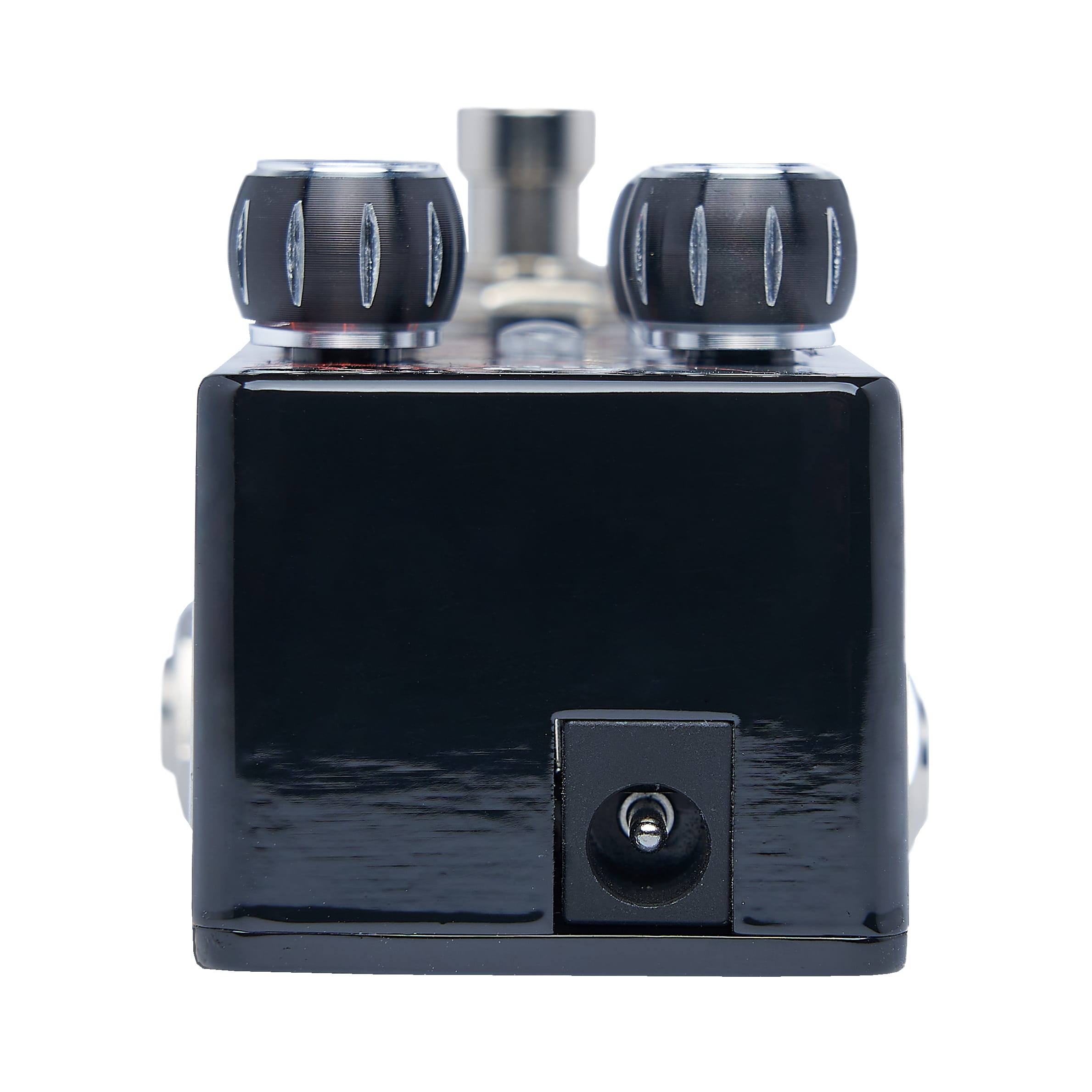 Pigtronix Disnortion overdrive/fuzz — footswitch and logo detail