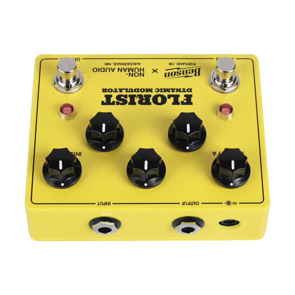 Benson Florist Dynamic Modulator pedal — controls detail