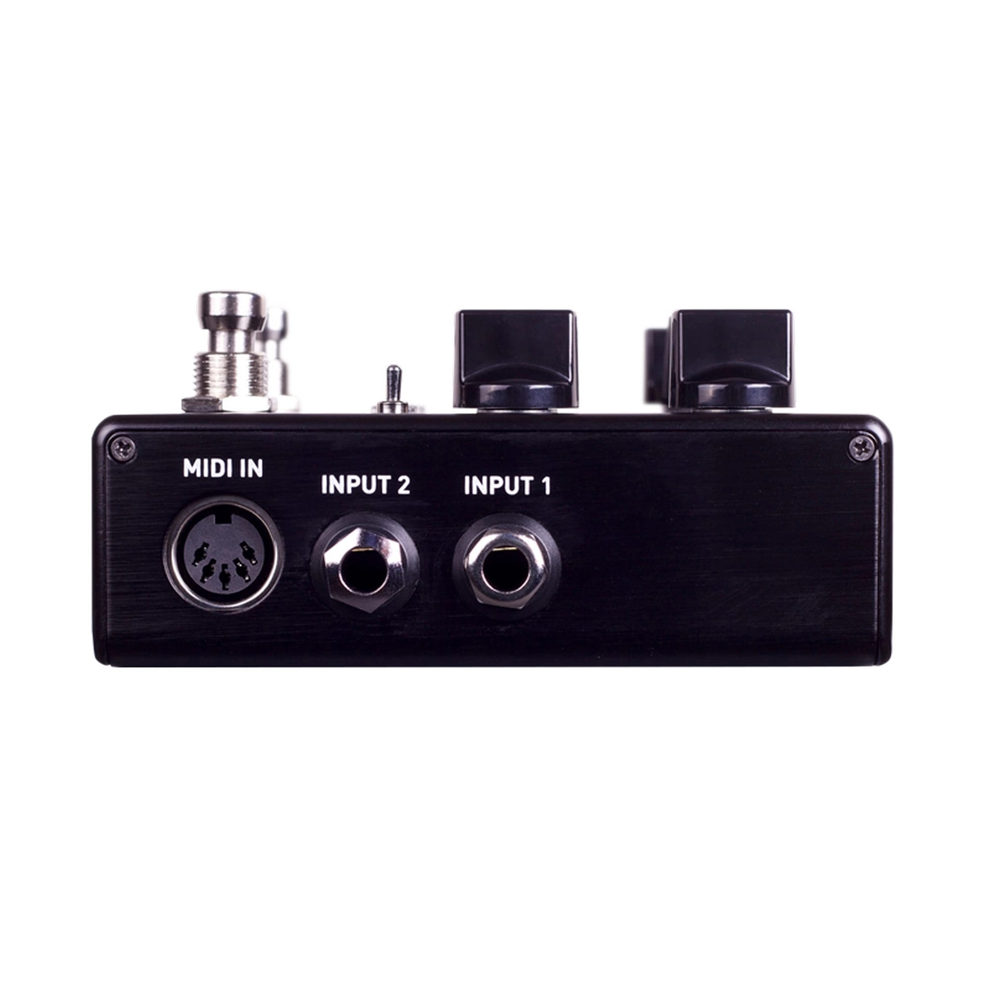 Source Audio Nemesis Delay ADT pedal — side input jacks