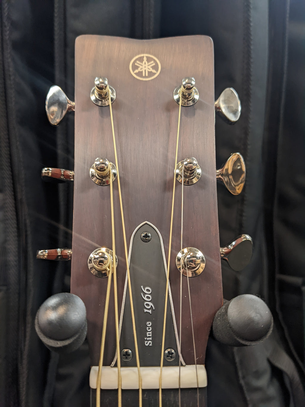 Yamaha Red Label FSX5 acoustic-electric guitar — headstock with Red Label logo