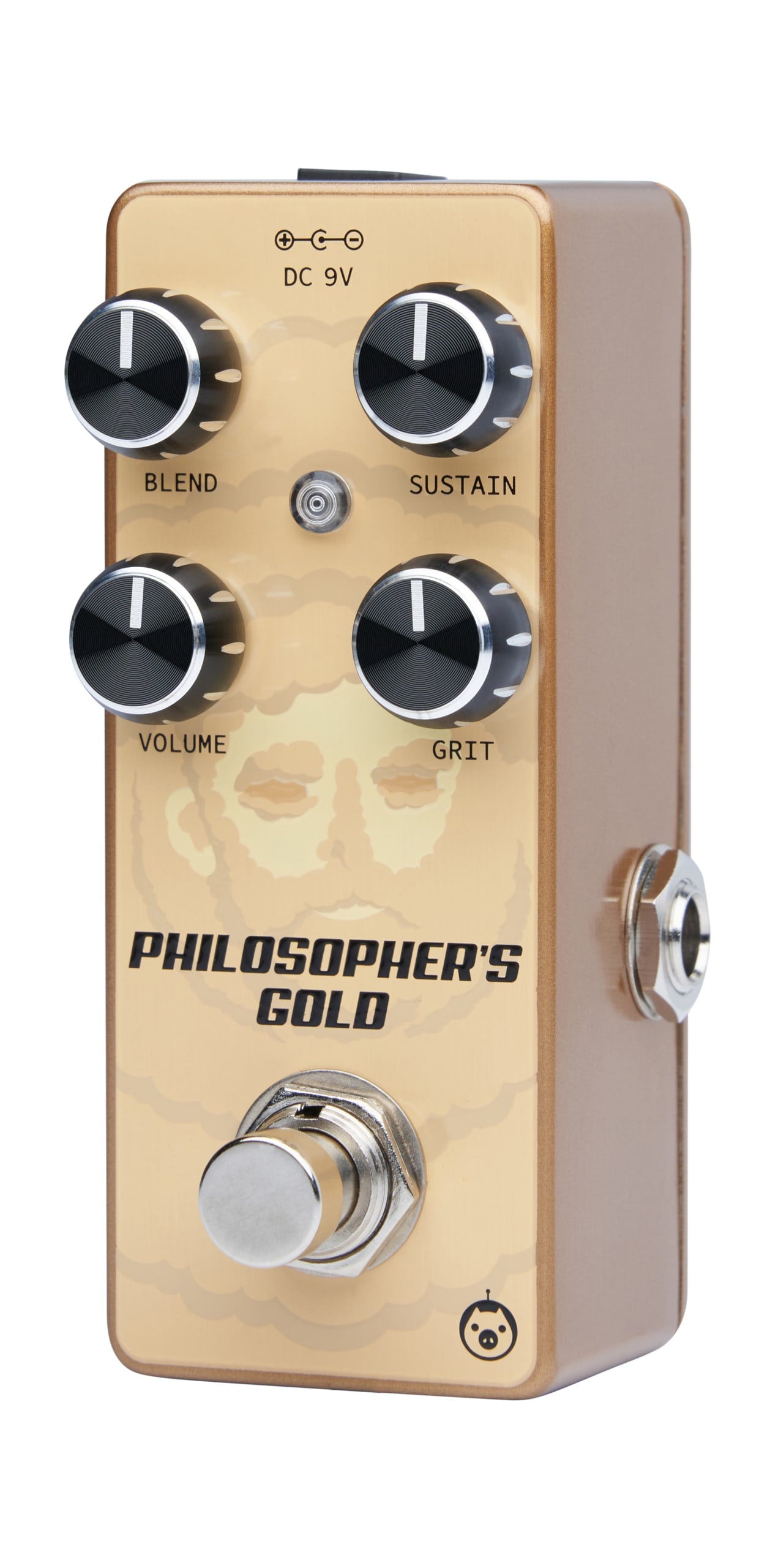 Pigtronix Philosopher's Gold — footswitch close-up