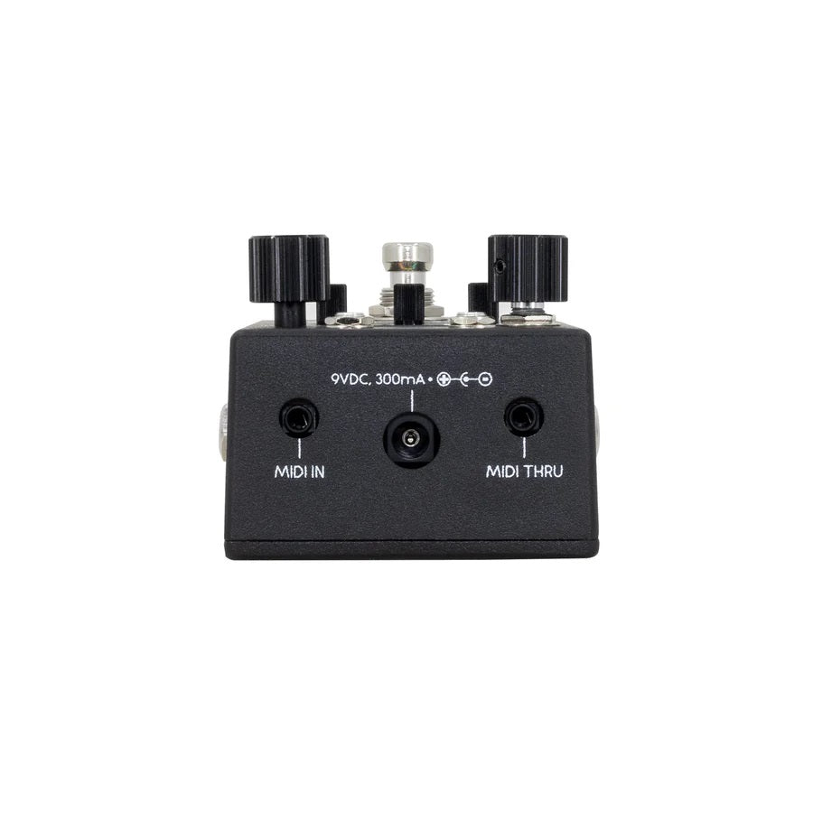 Walrus Audio Canvas Rehearsal headphone amp pedal — angled profile view