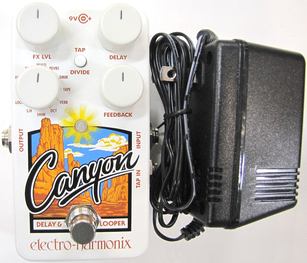 Electro-Harmonix Canyon delay and looper pedal — top controls