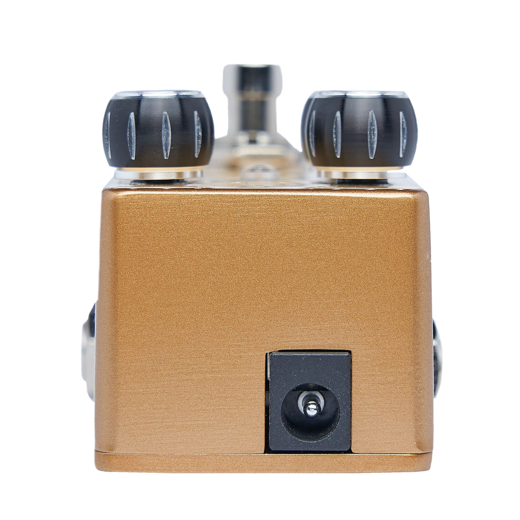 Pigtronix Philosopher's Gold germanium distortion — full pedal product shot