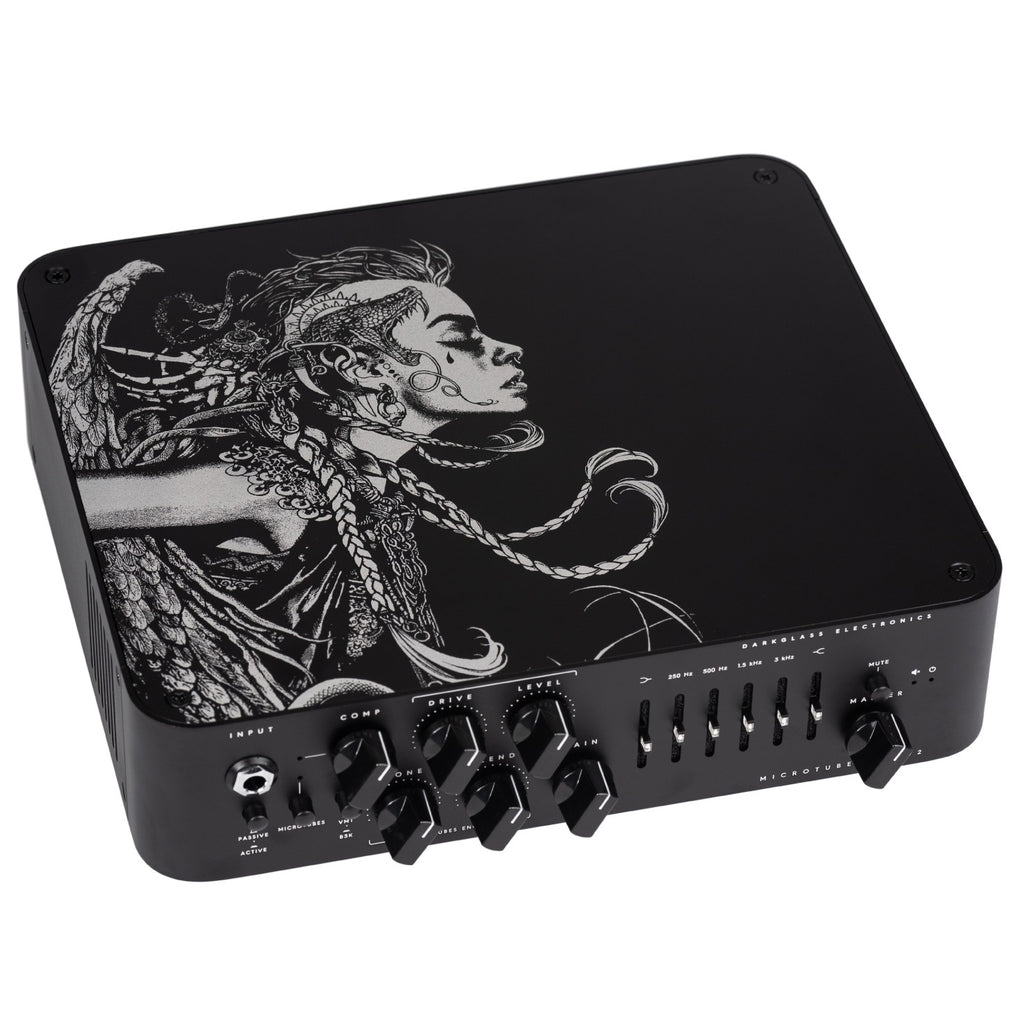 Darkglass Microtubes 900 V2 Euryale Limited Edition bass amp head - top view with Medusa artwork