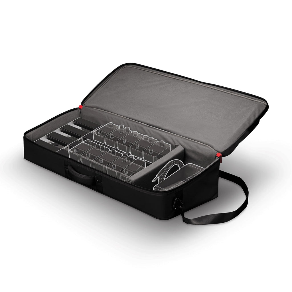 D'Addario Backline XPND 2 pedalboard transporter bag exterior view