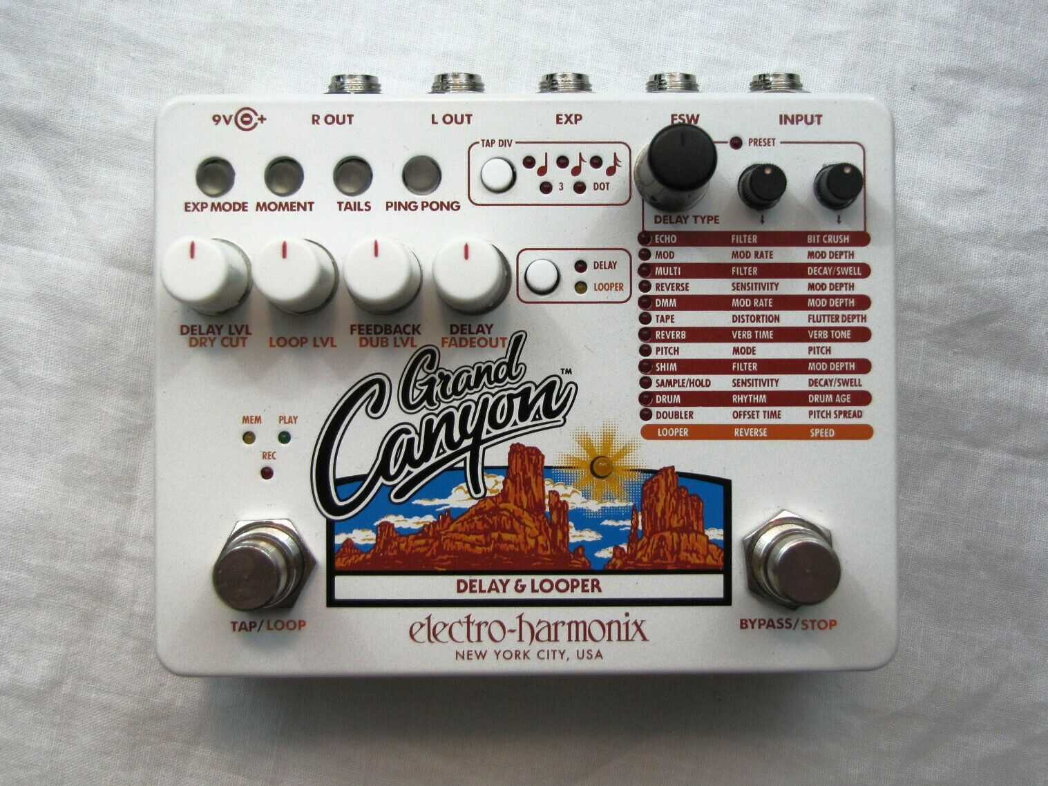 Electro-Harmonix Grand Canyon Delay Looper — white enclosure, top view with all controls