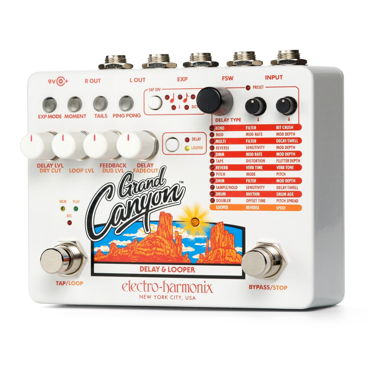 EHX Grand Canyon delay looper controls close-up