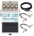 Boss TE-2 Tera Echo reverb pedal with included Hosa guitar and patch cables